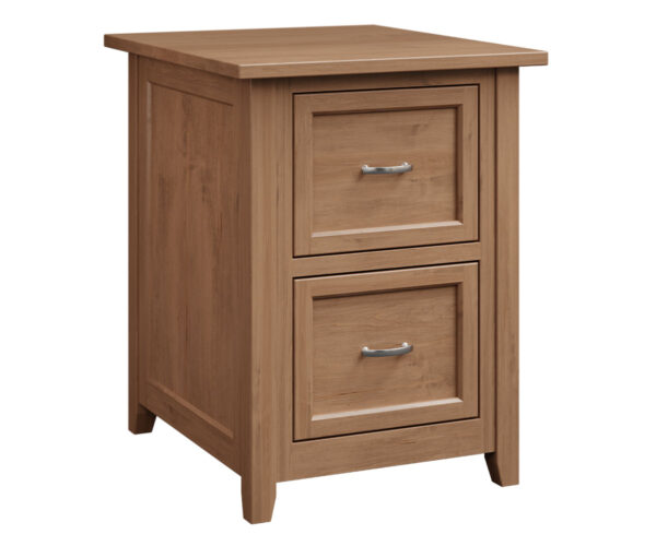 Premier 2 Drawer File